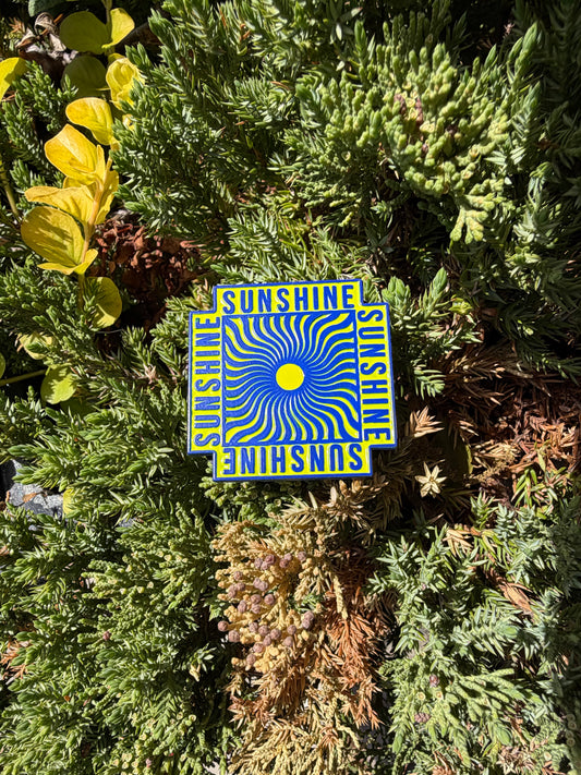 SUNSHINE V36 PIN